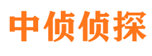 带岭市婚外情调查